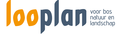Loo Plan